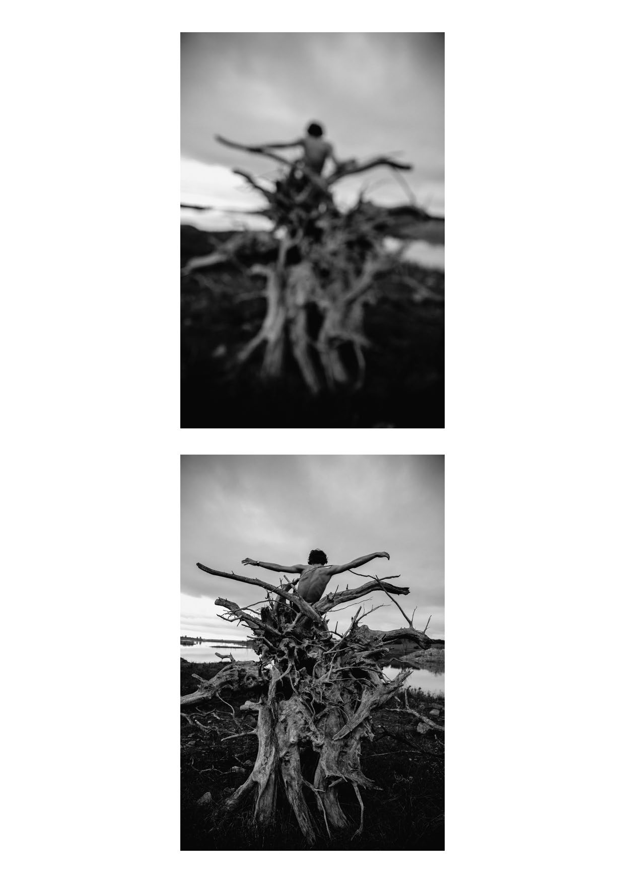 Hombre sobre raíces de árbol