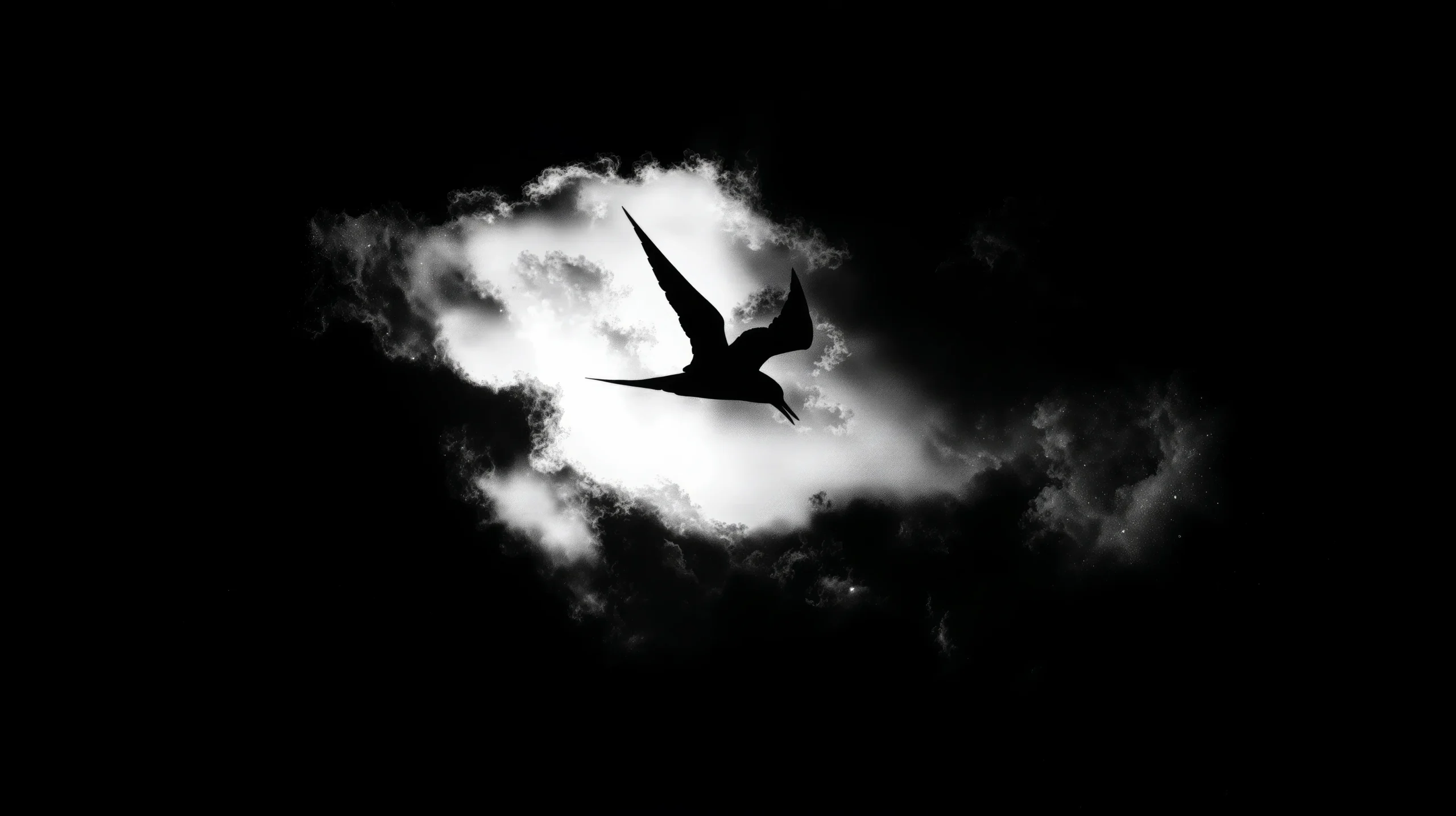 Vuelo entre Nubes