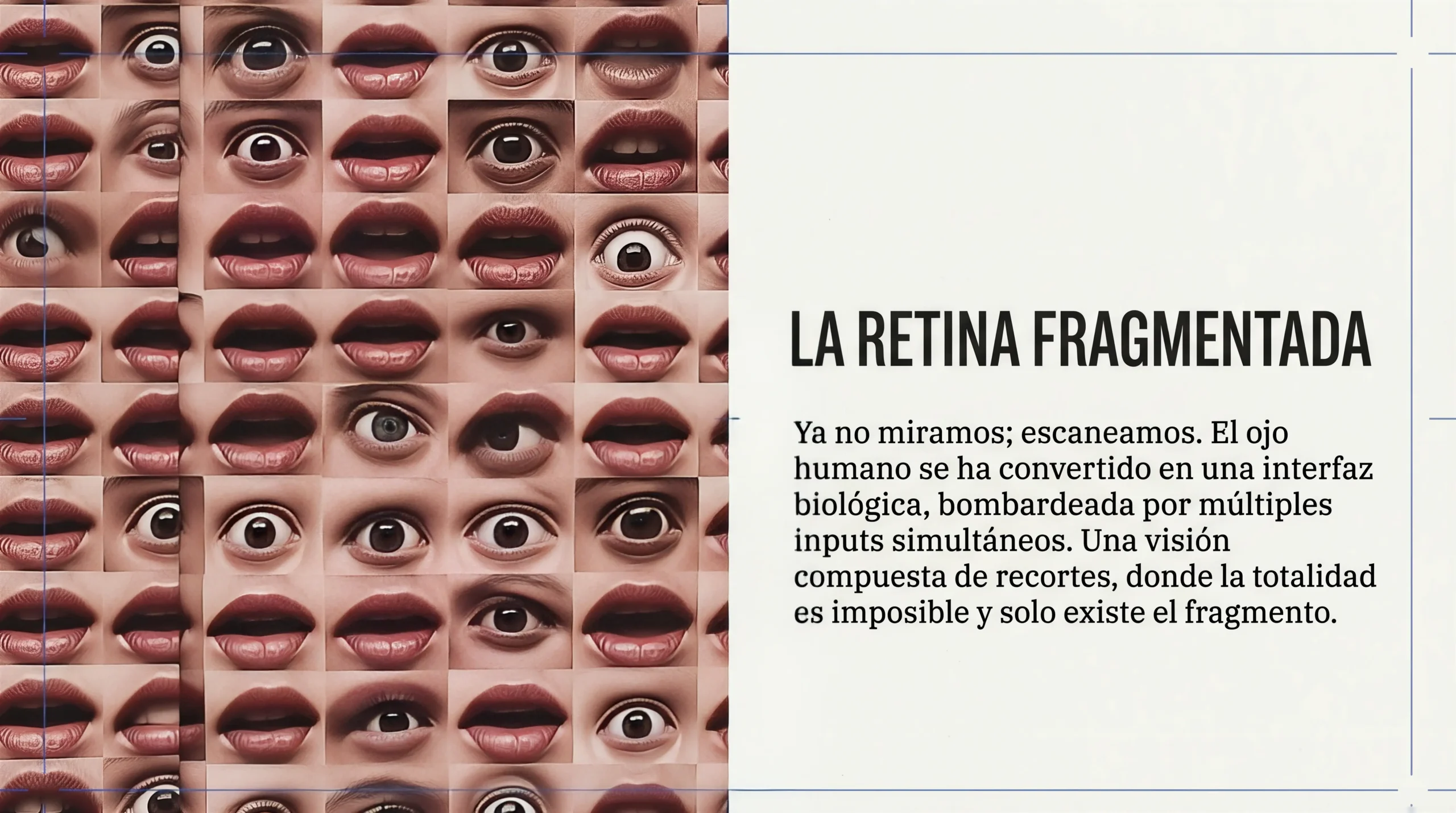 La retina fragmentada