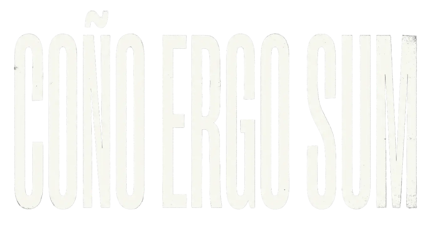 Ergo Sum Fondo